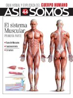 Así Somos - El cuerpo humano